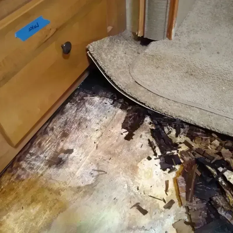 Best Wood Floor Water Damage Service in Rossville, GA